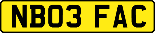 NB03FAC