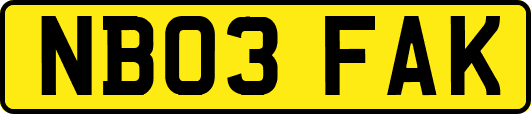 NB03FAK