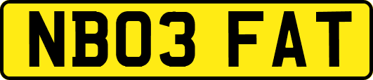 NB03FAT