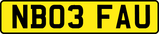 NB03FAU