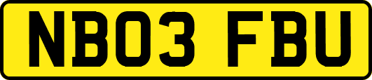 NB03FBU