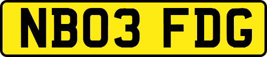 NB03FDG