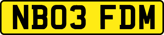 NB03FDM