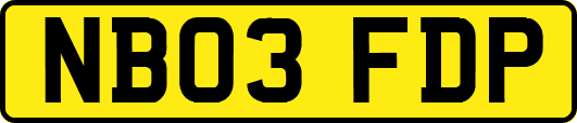 NB03FDP