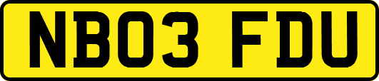 NB03FDU