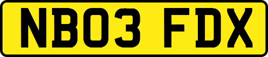 NB03FDX