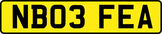 NB03FEA