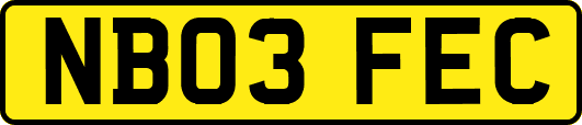 NB03FEC