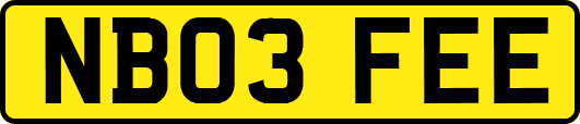 NB03FEE