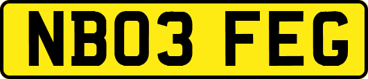 NB03FEG