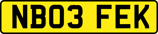 NB03FEK