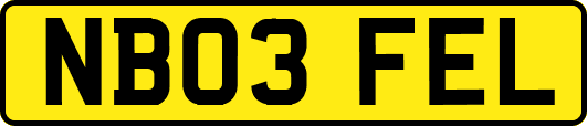 NB03FEL
