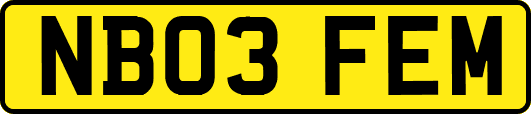 NB03FEM