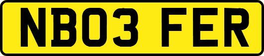 NB03FER
