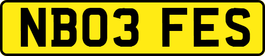 NB03FES