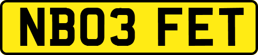 NB03FET