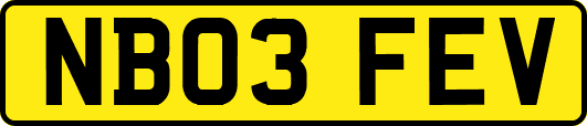 NB03FEV
