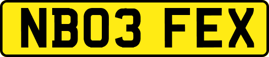 NB03FEX
