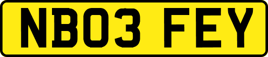 NB03FEY