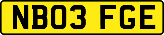 NB03FGE