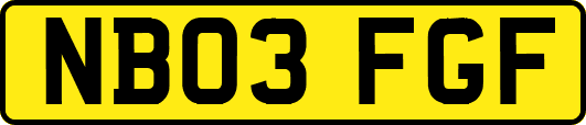 NB03FGF