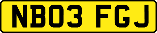 NB03FGJ