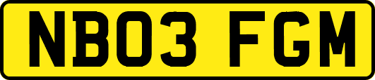 NB03FGM