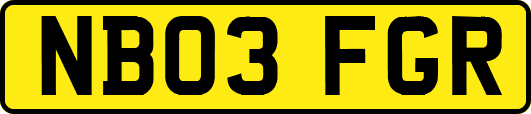 NB03FGR