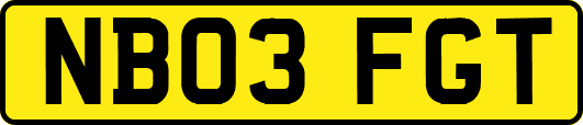 NB03FGT