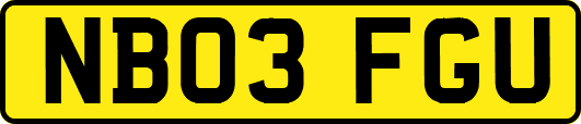NB03FGU