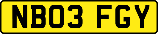 NB03FGY