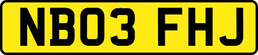 NB03FHJ