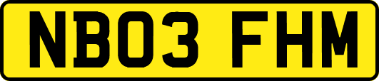 NB03FHM