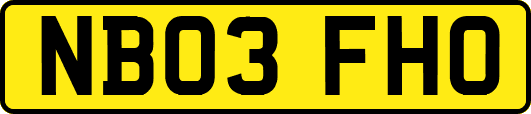 NB03FHO