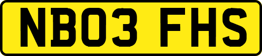 NB03FHS