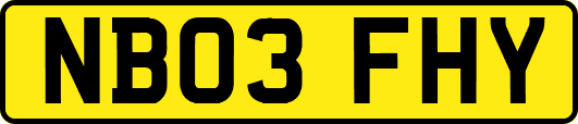 NB03FHY
