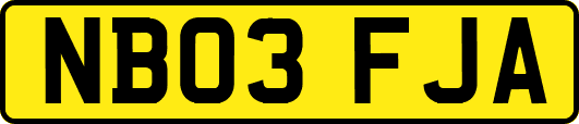 NB03FJA