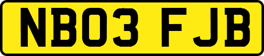NB03FJB