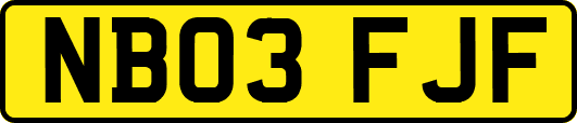 NB03FJF