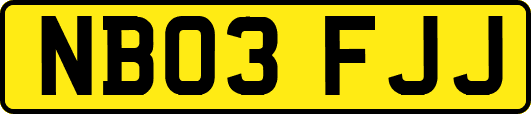 NB03FJJ