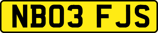 NB03FJS