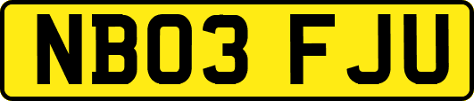 NB03FJU