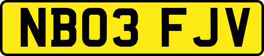 NB03FJV