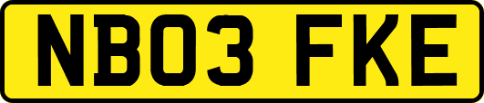 NB03FKE
