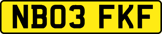 NB03FKF