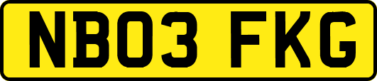 NB03FKG