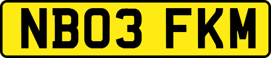 NB03FKM