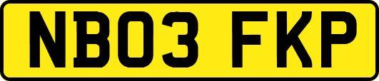 NB03FKP