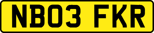NB03FKR