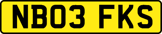 NB03FKS